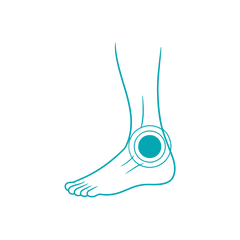Ankle